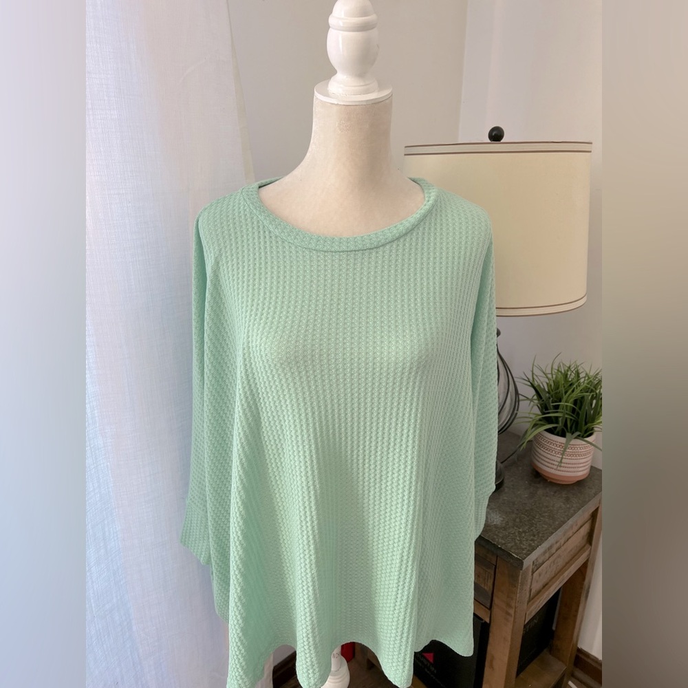 NWOT Pink Lily Mint Green Waffle Knit Top